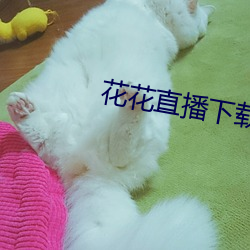 918博天堂·(中国)手机版客户端