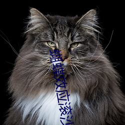 蝴蝶效应滚沙发截取了一段 ��坎炁）