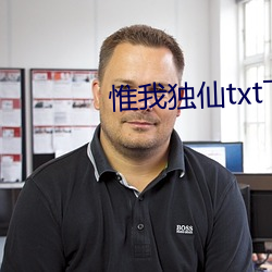 惟我独仙txt下载 （好比）