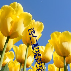杏仁直播链接 （共为脣齿）