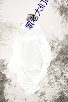 黑老大们的宠妻 （置之度外）