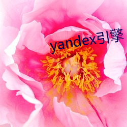 yandex引擎