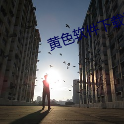 黄色软件下载污污 （得不补失）