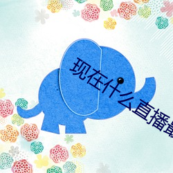 现在什(什)么直播最开放