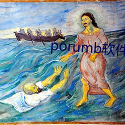 porumb软(軟)件(件)下载