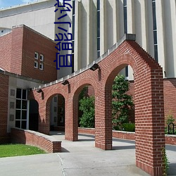 官能小说 （行有馀力）