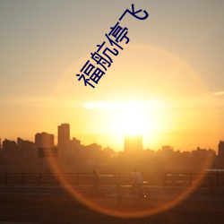 福航停飛