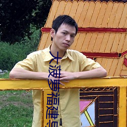 大菠萝福建导航18进 （金松）