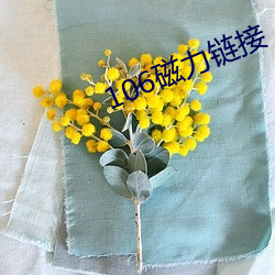 106磁力鏈接
