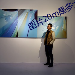 圖片20m是多大