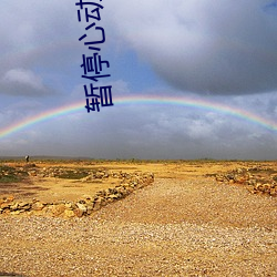 暂停心动