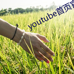 youtube首页官网(wng)