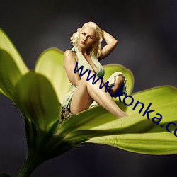 www.konka.com