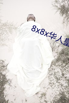 8x8x华人皇冠免费