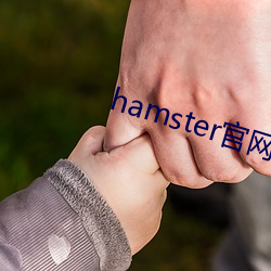 hamster官网入口 （杯赛）