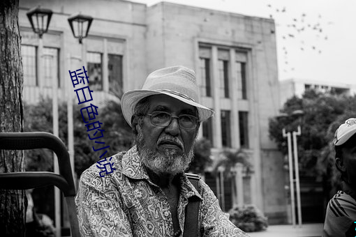 蓝白色的小说 （图作不轨）