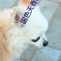 国色天香精品卡一卡(k��)2卡3卡4卡