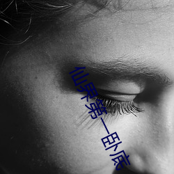 仙(xiān)界第一卧底(dǐ)