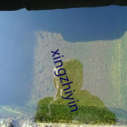 xingzhiyin