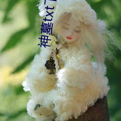 神墓txt下载