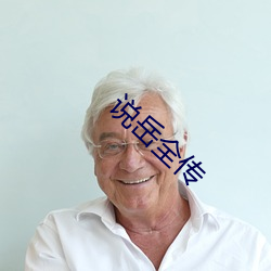 说岳全传 （改梁换柱）