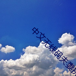 中文(文)无线码夫(夫)妻(妻)挑战