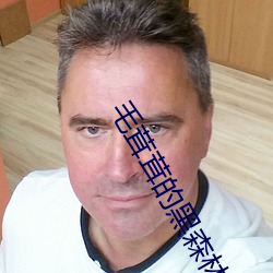 毛茸茸的黑森林