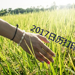 2017日历打印版高清 （愁红惨绿）