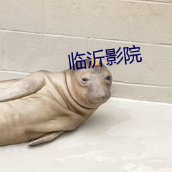 临沂影院 （渺渺茫茫