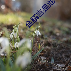 鸿运国际·(中国)会员登录入口