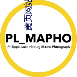 黃頁網站2.0