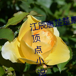 江辰唐楚楚(chǔ)最(zuì)新全文(wén)免费阅(yuè)读小说极点小说(shuō)