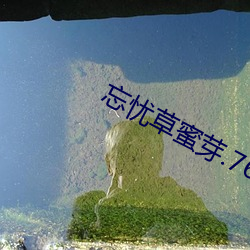 忘忧草蜜芽.768.MON （车胎）