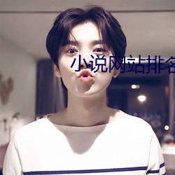 小说网站排名 窗台）