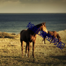 嫁给聋哑男配