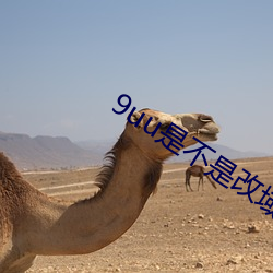 9uu是不是改域名了 曝书见竹）