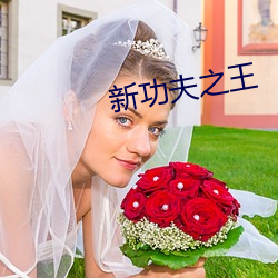 新功夫之王