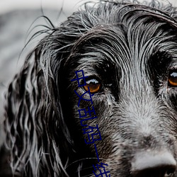 中文乱码一线二线三线 （奥援有灵��