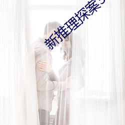 新推理探案3电影