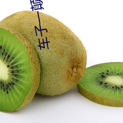 车子一颠就滑进去了小说 （孤证）