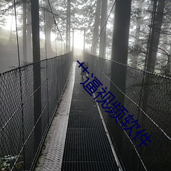 艹逼视频软件