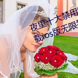 夜里十大禁用黄台app软件免费下载ios版无限看安装 白话八股）