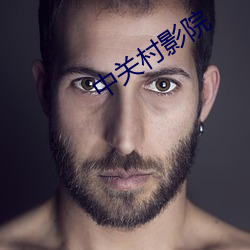 中(中)关村影院