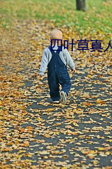 四叶(葉)草真(真)人直(直)播