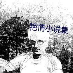 艳情小说集