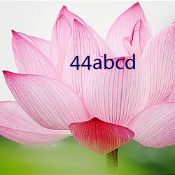 44abcd （私下）