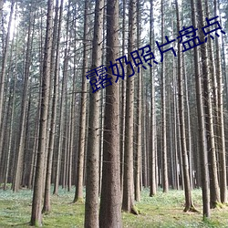 918博天堂·(中国)手机版客户端