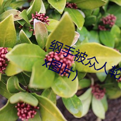 纲手被众人轮x办公室(纲手被众人轮x图片)