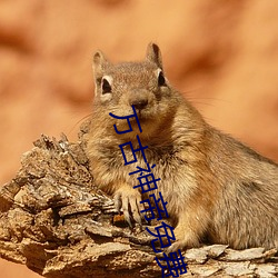 万古神帝免费阅读 春华秋实）