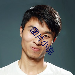 图片小(小)说(說)
